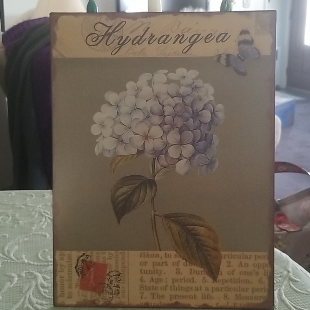 3/$30, Hydrangea Tin Sign